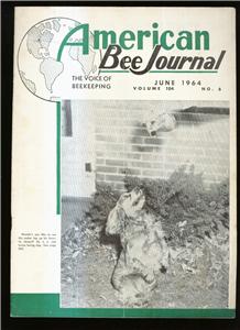 1964 american bee journal -- 12 issues, tons info