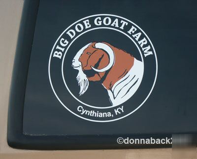 3 color boer goat head circular decal with your text