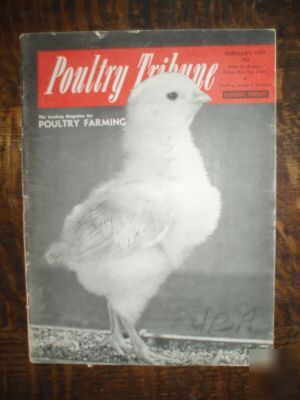 Poultry tribune magazine feb 1957 chickens farming ads