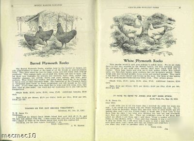 1913 money making poultry catalogue h m jones graceland