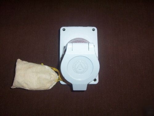 Explosion proof straight blade: 20A 250V 3W receptacle