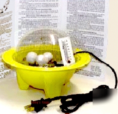 Chick bator mini incubator - chickens quail incubators