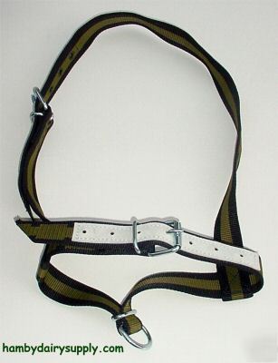 Cow halter reinforced nylon & leather