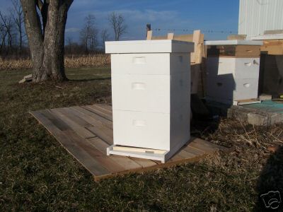 1 complete bee hive for honey bees: beekeeping