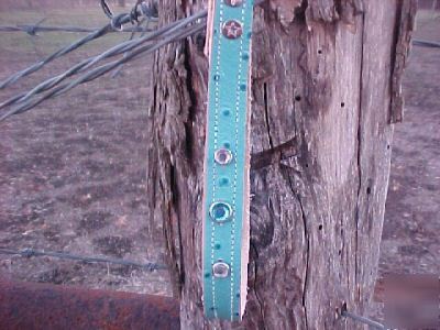 Turquoise ostrich leather goat lead 4-h ffa boer goat