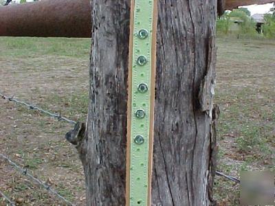 New leather boer goat collar with bling lime ostrich