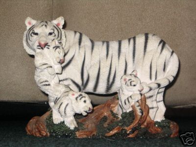 Living stone animals endagered wildlife white tigers