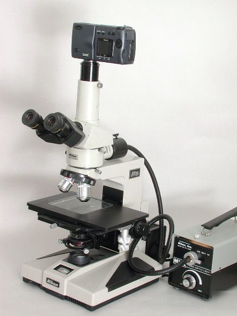 Nikon optiphot bf/df microscope w/ nikon digital camera