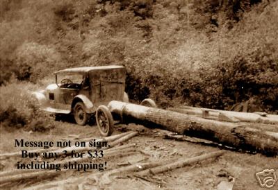 Car hauling logs in forest metal photo sign
