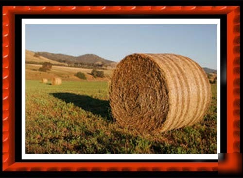 Round alfalfa bale - soft core - 1400LBS each