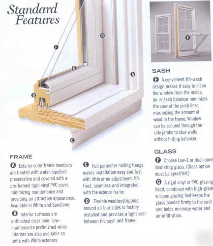 Andersen white clad twin dbl hung window, prefinish int