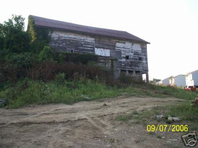 Dairy cattle barn