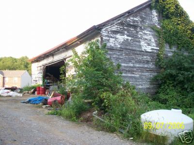 Dairy cattle barn