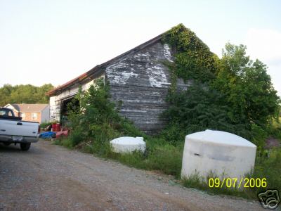 Dairy cattle barn