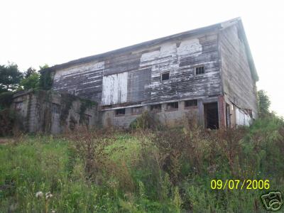 Dairy cattle barn