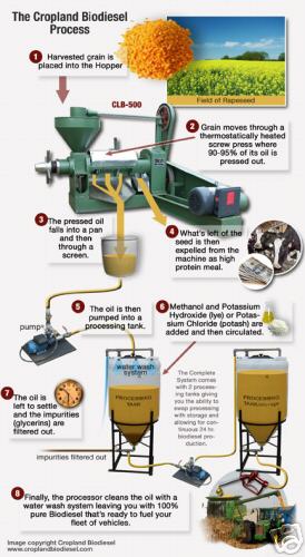 New extruder oil heated screw press biodiesel system