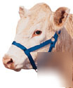 New nylon cow halter for cattle