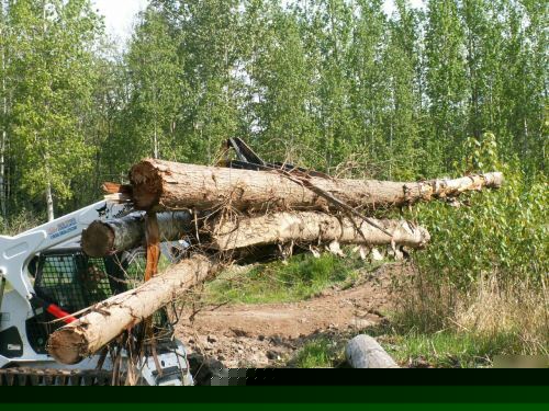 Demolition grapple for bobcat skidsteer skid steer