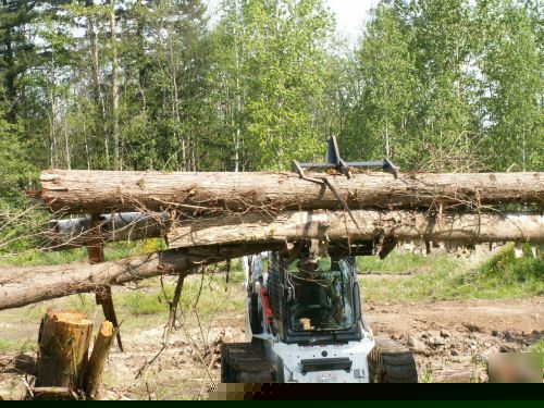 Demolition grapple for bobcat skidsteer skid steer