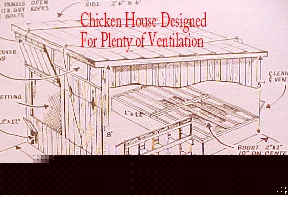 Poultry sheep hog butchering goat farming building farm