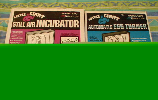 New ~ incubator & egg turner ~ ~ little giant ~