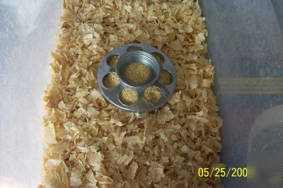 Chick & quail feeders - keeps food clean durable/very