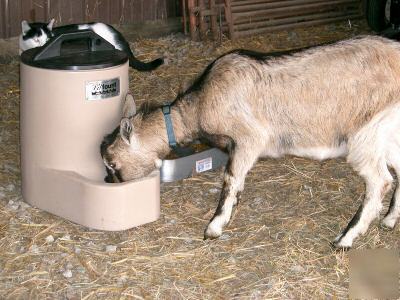 Miraco heated waterer livestock,goats,sheep,pigs & pets