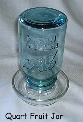 Chicken water feeder dish blue fruit jar glass