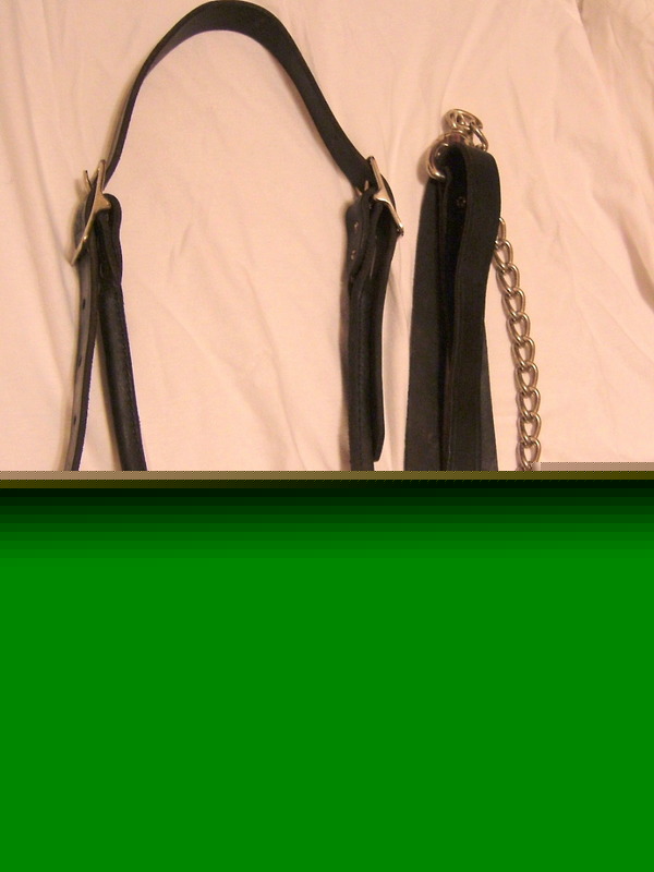 Great condition used black leather cattle show halter