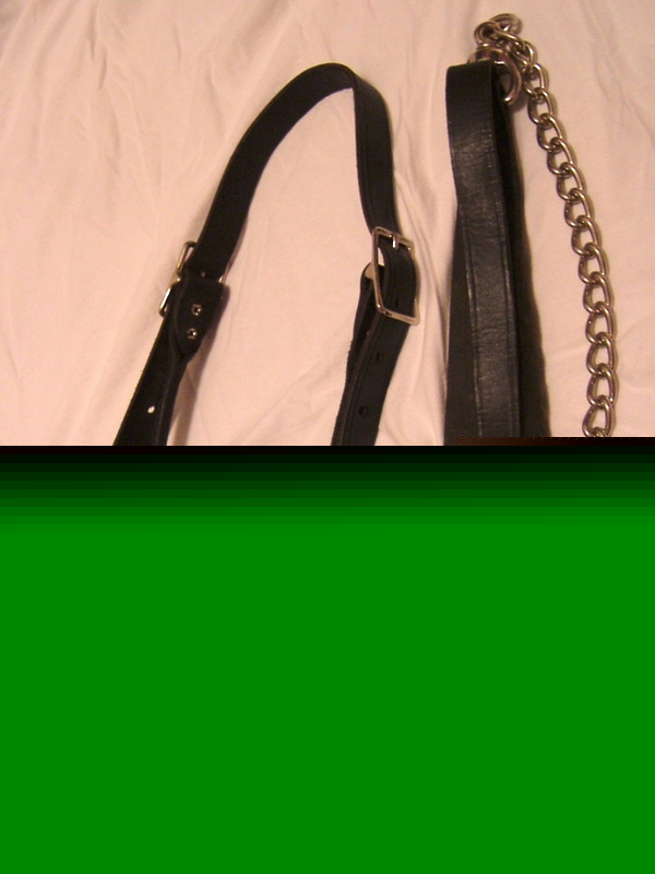 Great condition used black leather cattle show halter