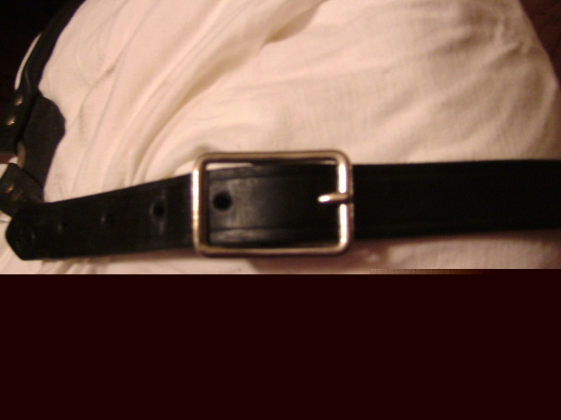 Great condition used black leather cattle show halter