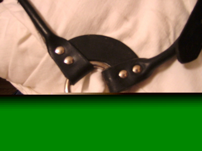 Great condition used black leather cattle show halter