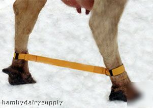 Split guard safety hobble - velcro-type cow or horse
