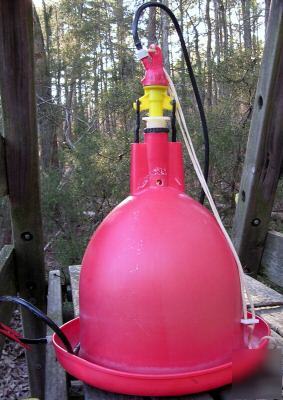 Chicken poultry chick plasson bell waterer drinker 