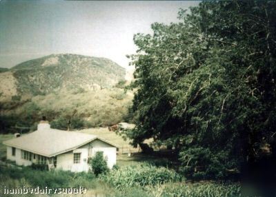 Echoes of eden - life at hallcienda farms