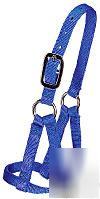 Nylon llama halter - full size - blue