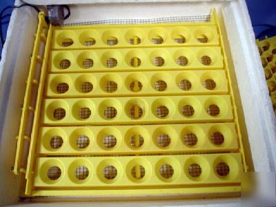 Hova-bator circulated air egg incubator 