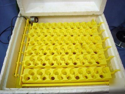 Hova-bator circulated air egg incubator 