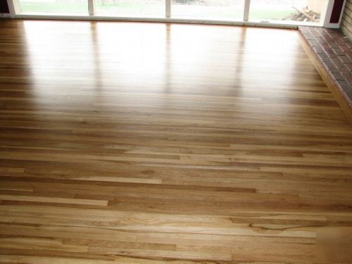 Alto clarke apollo 8 belt floor sander
