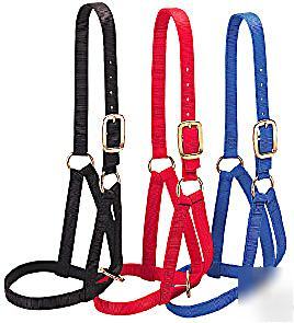 Nylon large cow halter - blue