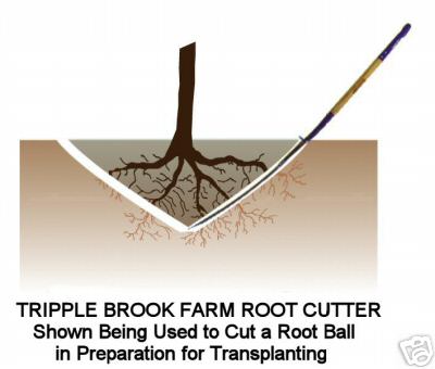 Tbf root cutter- cuts cleaner& better than a tree spade