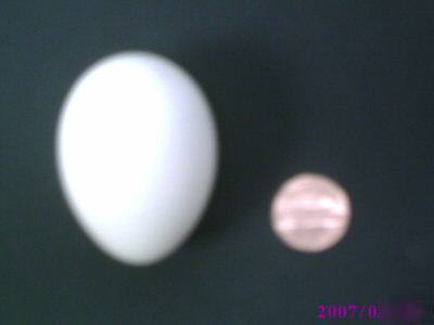 3 hatchin' eggs from 3 tree farms